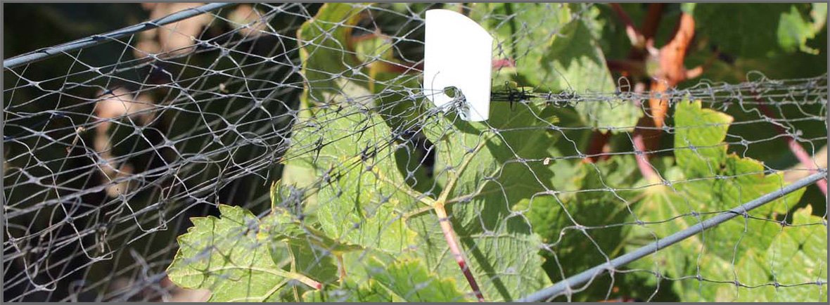 Durable protection for homes and businesses