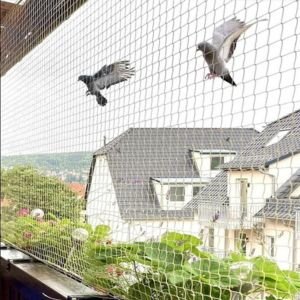 Bird Netting Services